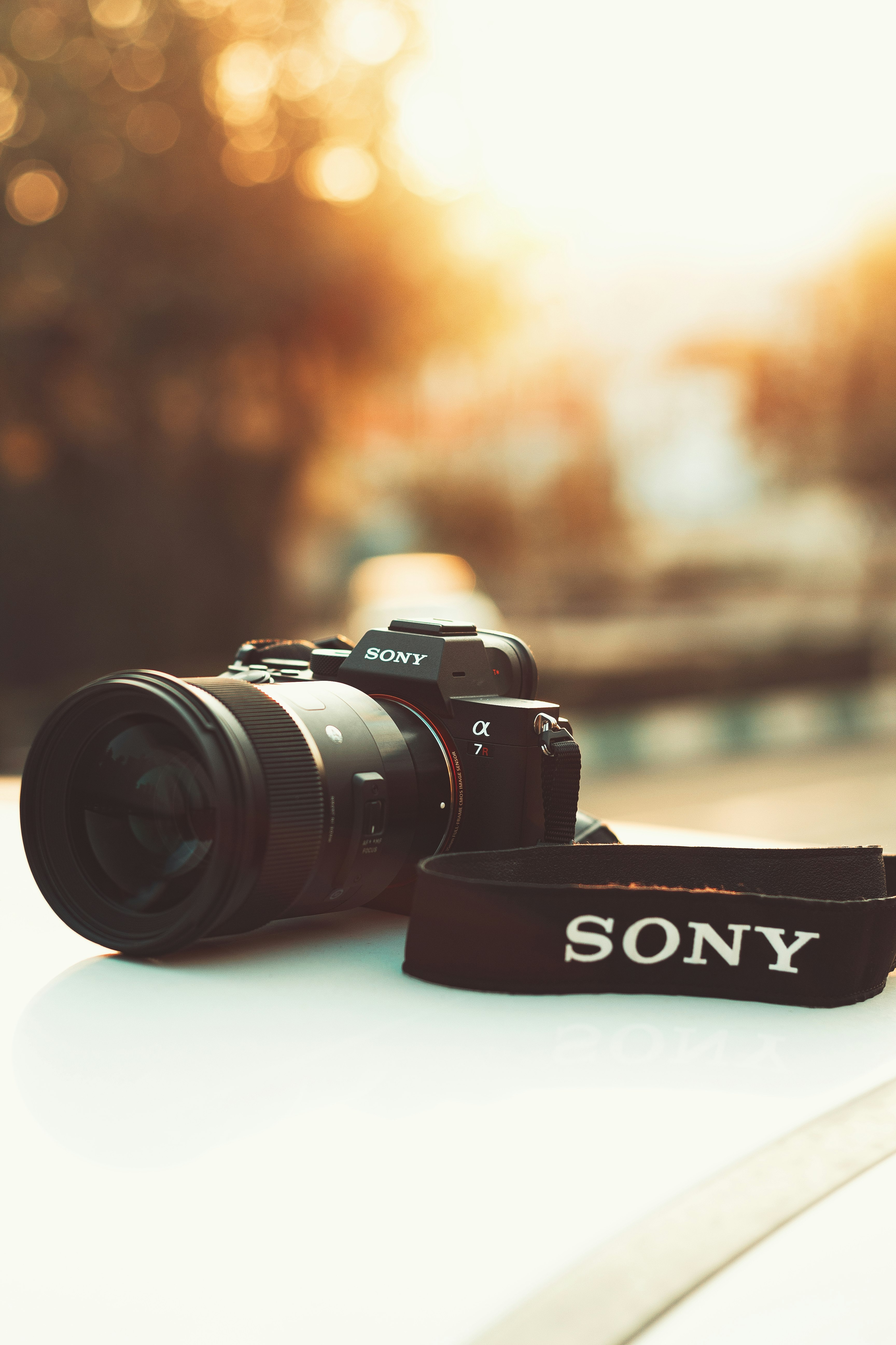 black Sony Alpha DSLR camera